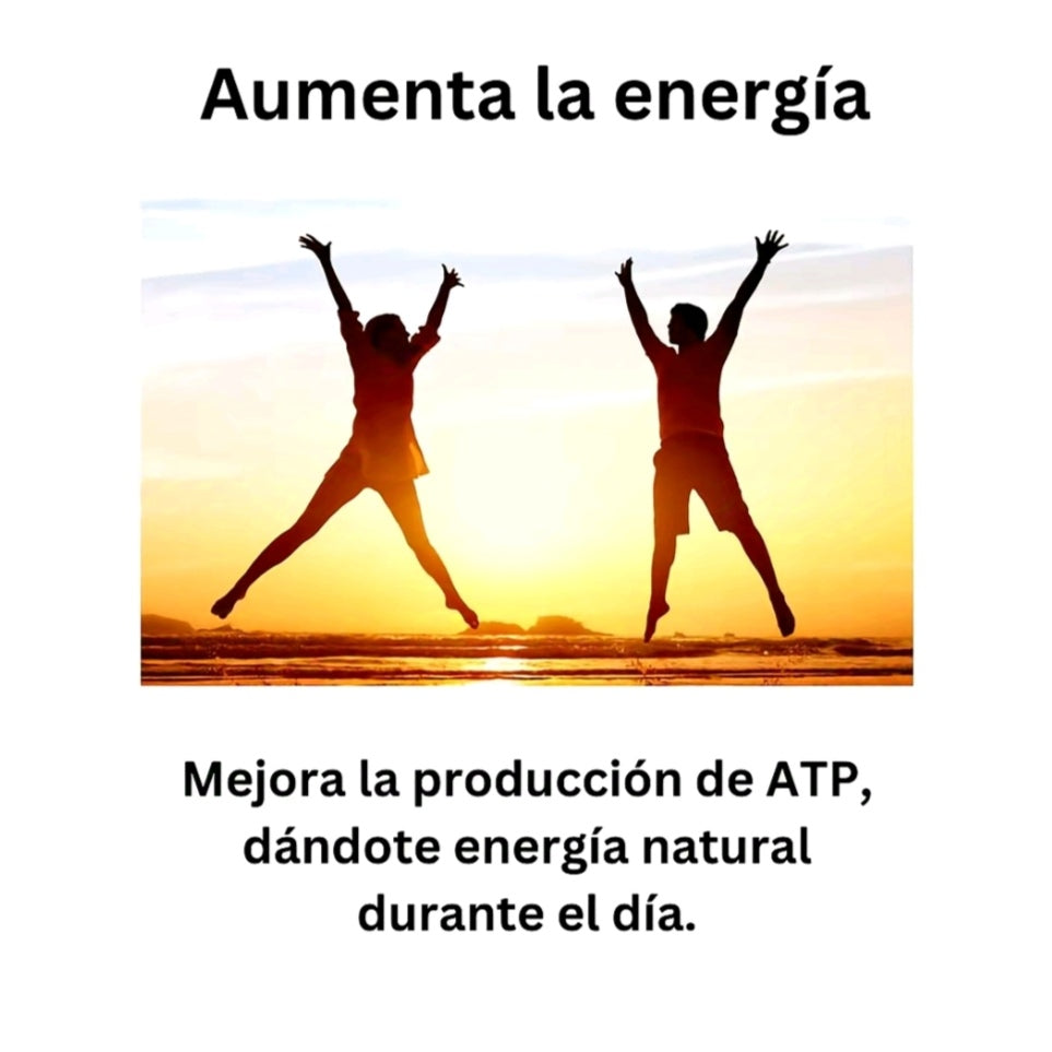 Shilajit Natural Pro original – energía real para tu día a día.